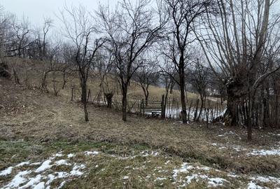 Teren 4652 mp cu izvor pe el, Lunca Mare, lângă păstrăvăria Doftana - 8