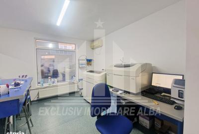 Spațiu comercial, de 400 mp, în Cetate - 8