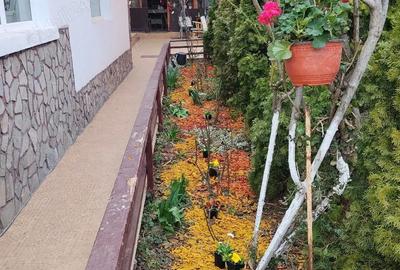 Casă cu 6 camere cu Teren 240 Mp în Transilvaniei - 3
