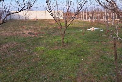 Spațiu comercial, în Chiajna - 1