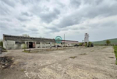 Spațiu industrial, de 680 mp, în Periș - 5