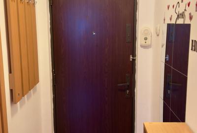 Apartament cu 2 camere decomandat, mobilat în Lujerului - 5