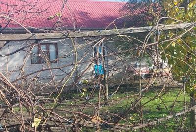 Vand casa loc.Platonesti, Jud.Ialomita - 4