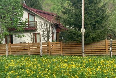 Casă cu 7 camere cu Teren 300 Mp în Lepșa - 4