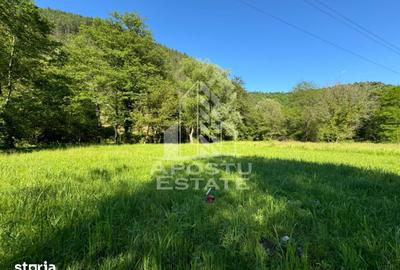 Teren de 1300 mp, în Central