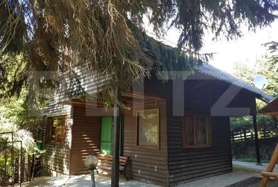 Casă cu 4 camere cu Teren 900 Mp în Piatra - 4