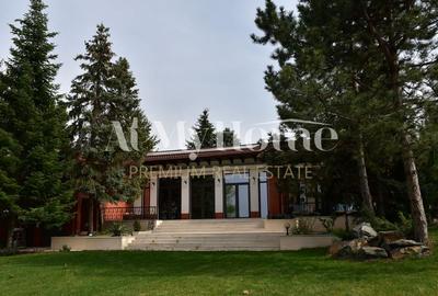 Vila unica pe malul Lacului Snagov, piscina si garaj ambarcatiuni, teren 1750 mp - 19