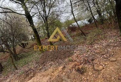 Teren de 1000 mp, în Groși - 4