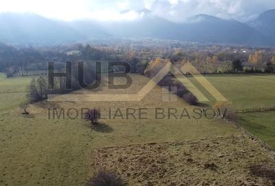 Teren Zarnesti | Tohanita | Intravilan | PUZ aprobat | Fara Utilitati | 9.053mp - 6