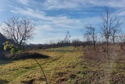 Teren Construcții intravilan de 5111 mp, în Sânnicolau Român - 2