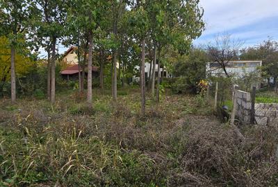 Teren  715  mp  intravilan Petresti - 7