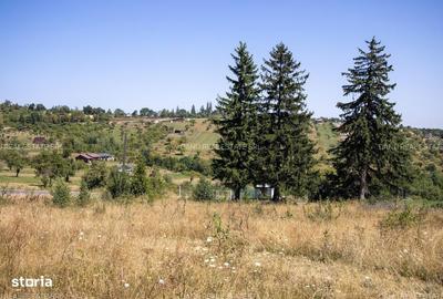 Spațiu comercial, în Vulcan - 3