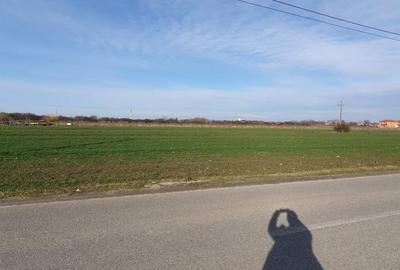 Teren de 5300 mp, în Odoreu - 1