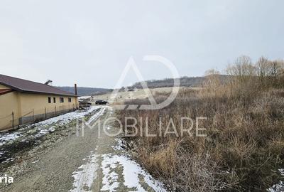 Spațiu comercial, în Turcinești - 7