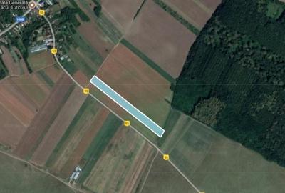 Prahova Teren de vanzare in Balta Doamnei, deschidere 15ml, 6569mp