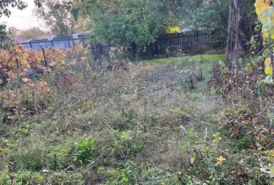 Galbinasi - jud. Calarasi, casa vanzare - 9