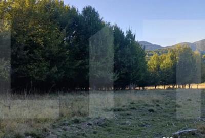 Teren de 11600 mp, în Central - 1