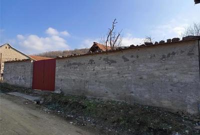 Teren de 1800 mp, în Ciclova Română - 16