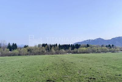 Teren de 7838 mp, în Central - 4