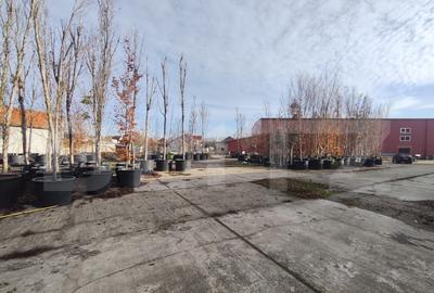 Teren intravilan in Oncea - 10