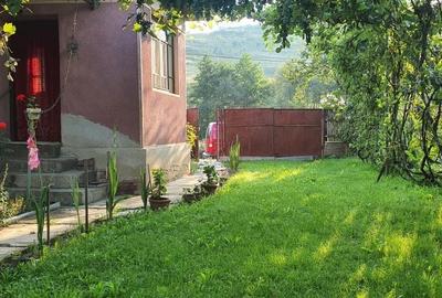 Casă cu 3 camere în Bord - 6