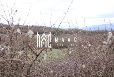 Teren agricol intravilan de 5390 mp, în Racovița - 9