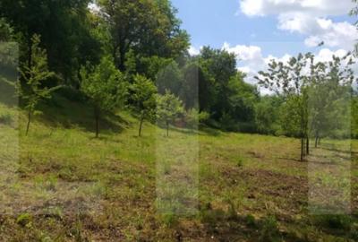 Teren în Micești - 6