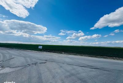 Spațiu comercial, în Biharia - 4