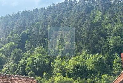 Casă individuală cu 2 camere cu Canalizare în Schei - 12