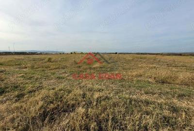 Teren intravilan in Baicoi zona targului--10.000mp--5e - 2