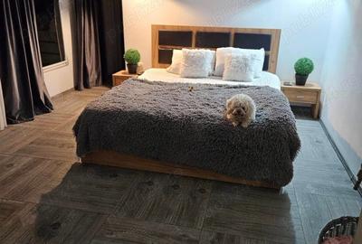 Casă cu 5 camere cu Teren 250 Mp în Central - 7