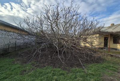 KM 5 CASA DEMOLABILA, TEREN 750 MP. IDEAL CONSTRUCTIE VILA, DUPLEX, REZIDENTIAL - 4