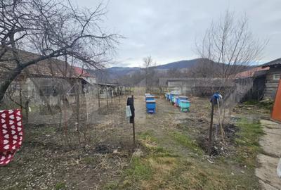 Casă cu 3 camere cu Teren 2805 Mp în Central - 12