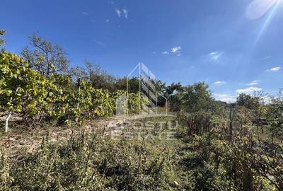 Casa individuala , 3 camere,acces auto,crama,garaj,teren ... - 1