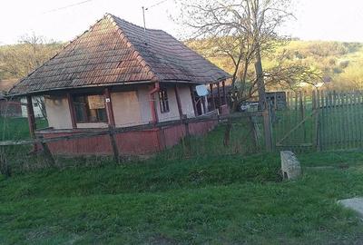 Casă cu 2 camere cu Teren 1568 Mp în Central - 5