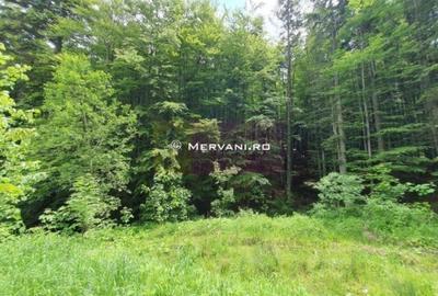Teren intravilan de 2015 mp, în Furnica - 4