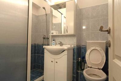 Garsonieră decomandată în Ultracentral - 5