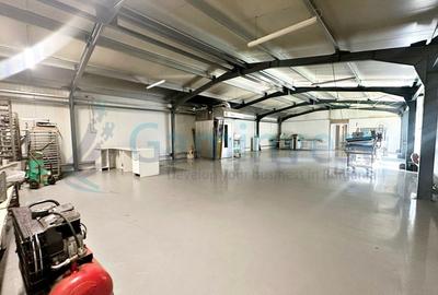 Spațiu industrial, de 250 mp, în Sânmartin - 2