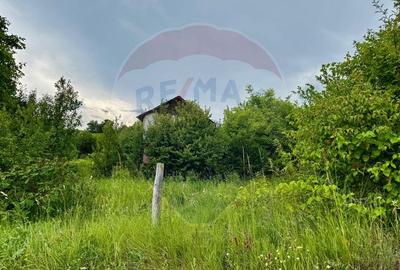 Teren agricol intravilan de 898 mp, în Sălicea