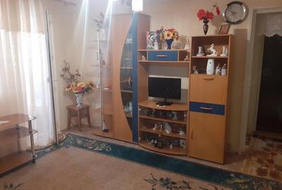 Apartament cu 3 camere semidecomandat în Viziru 1 - 19