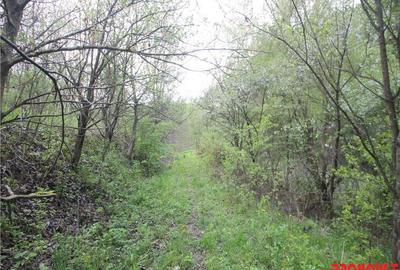Valea Budului - Teren intravilan. Lac. Padure - 16