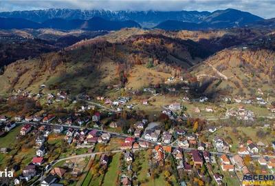 Casă cu 9 camere cu Teren 884 Mp în Moieciu - 2