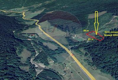 Teren Construcții intravilan de 4003 mp, în Babarunca - 5