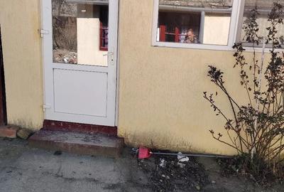 Casă cu 4 camere cu Teren 1300 Mp în Teremia Mare - 1