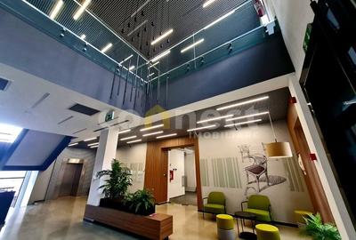 Spatii de birouri de inchiriat - 1