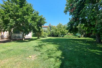 Chitila langa Lacul cu Nuferi si Padure Chitila langa Lacul cu Nuferi si Padure - 21