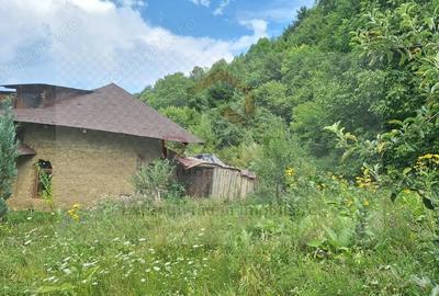 Casă cu 6 camere cu Teren 2700 Mp în Bradu - 10