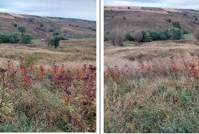 Teren extravilan pasune Ardeoani, ID: R2404613 - 7