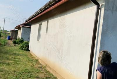 Vand casa la sanandrei - 2