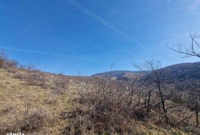 Teren de 23400 mp, în Ghioroc - 2